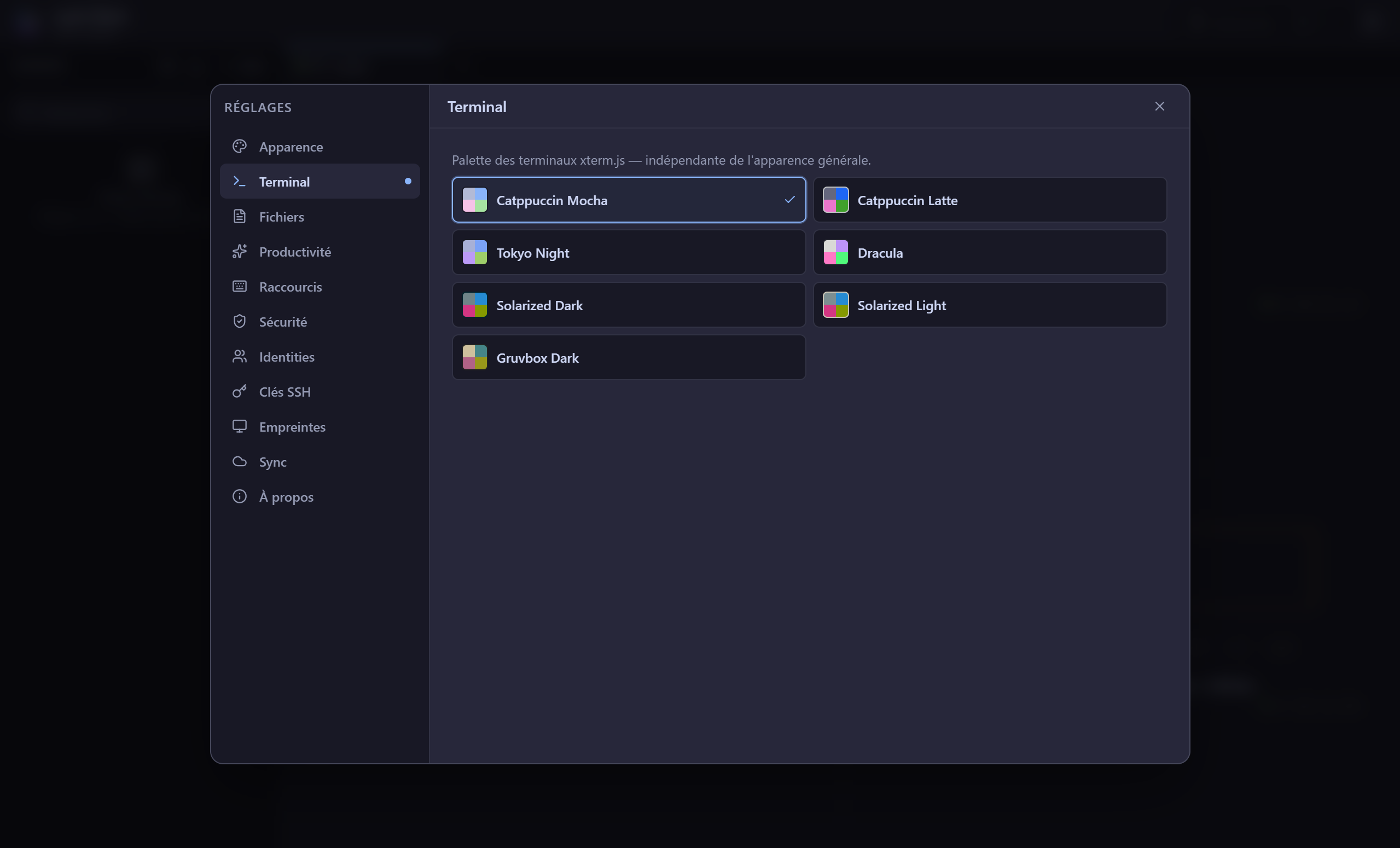 Sélection de thèmes du terminal dans Lynk Client